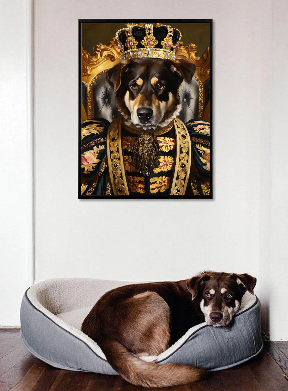 Royal Dog Portrait — photo 6 of 11