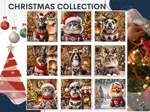 Christmas Pet Portrait from Photo — photo 7 of 11