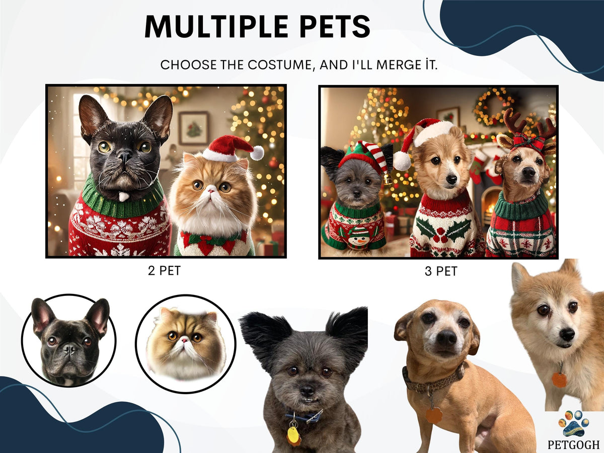 Christmas Pet Portrait — photo 7 of 11