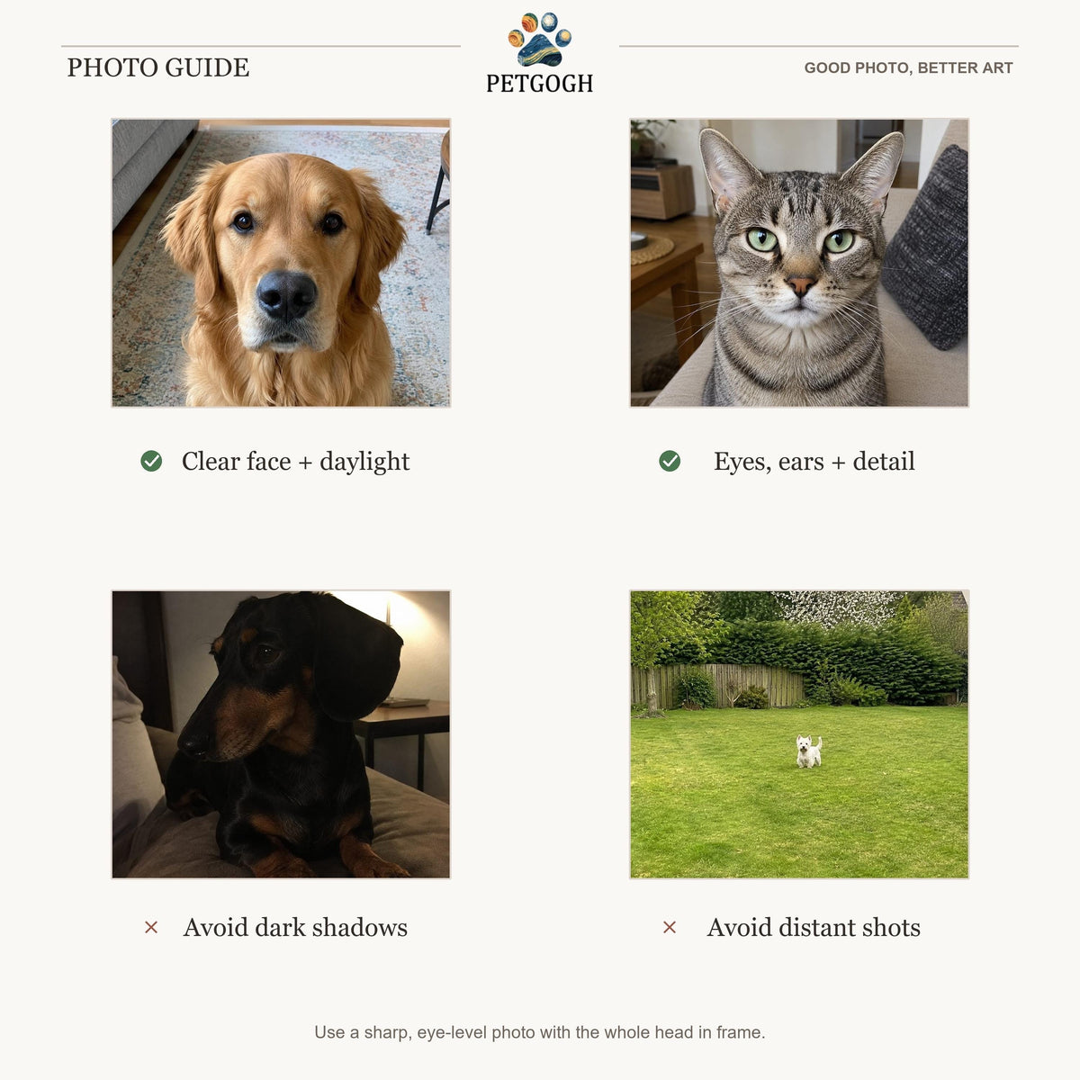 PetGogh Photo Guide: use a clear, eye-level pet photo with daylight and visible eyes and ears; avoid dark shadows and distant shots.