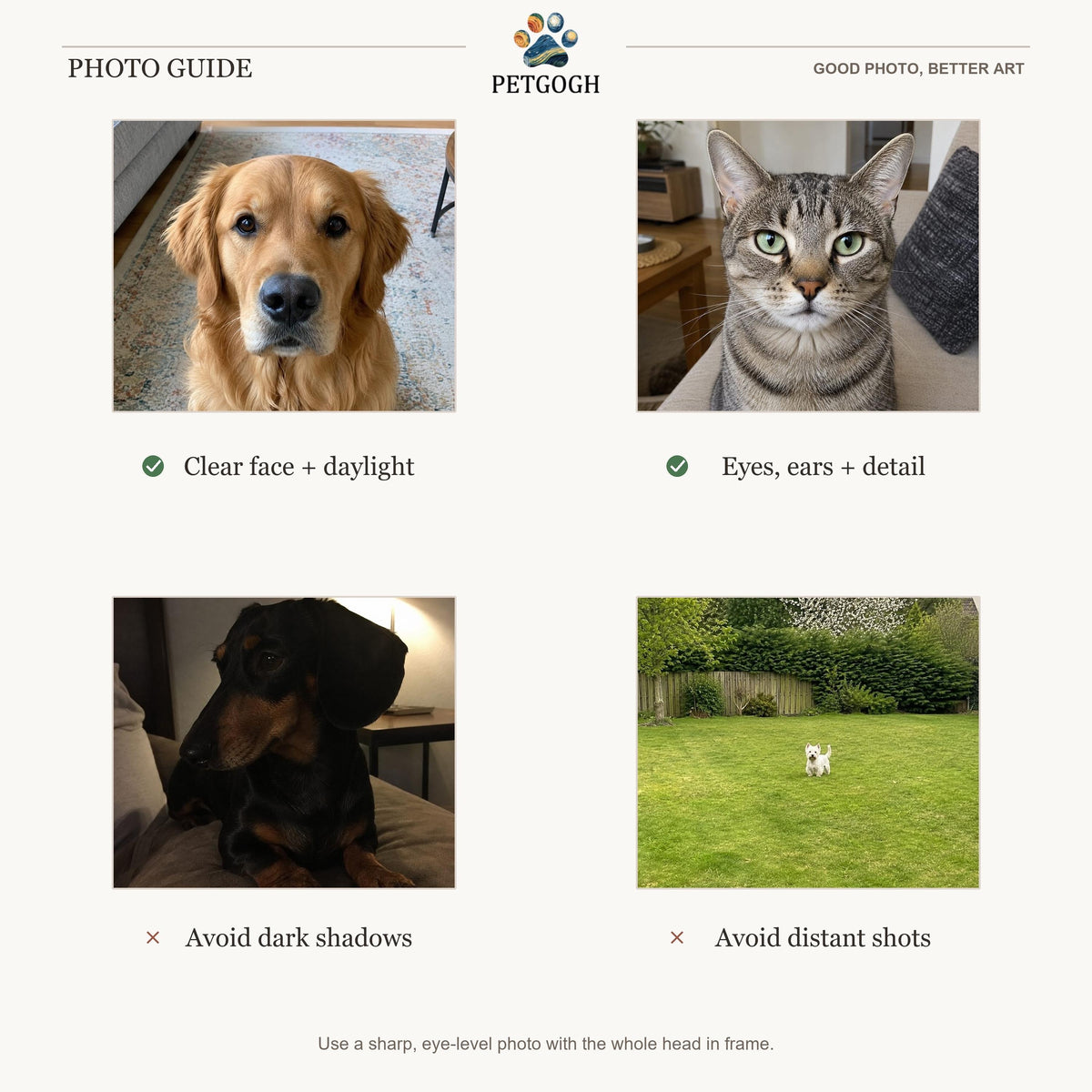 PetGogh Photo Guide: use a clear, eye-level pet photo with daylight and visible eyes and ears; avoid dark shadows and distant shots.