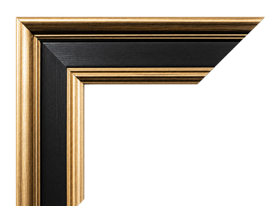 Black With Gold